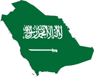 أنواع الشركات في النظام السعودي